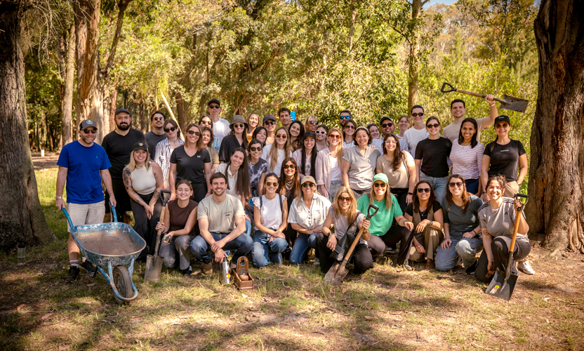 Cultivando/plantando en nuestros parques